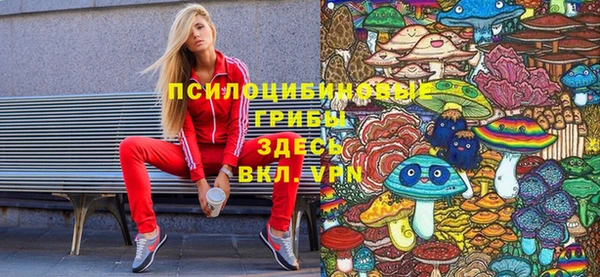 мет Аркадак