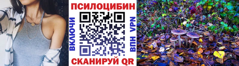 Псилоцибиновые грибы Psilocybine cubensis  Цивильск 